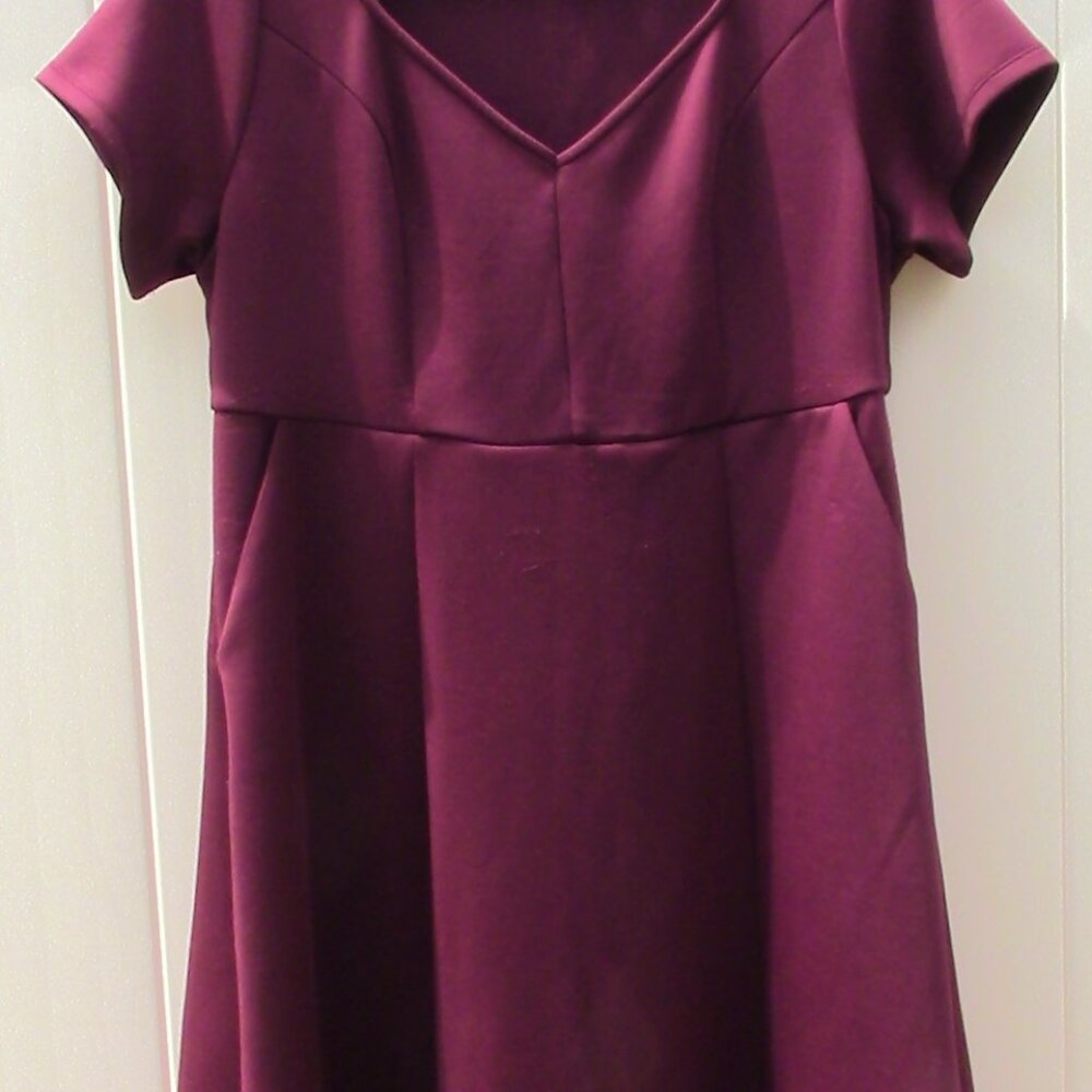 Torrid Dress - Picture 3 of 3